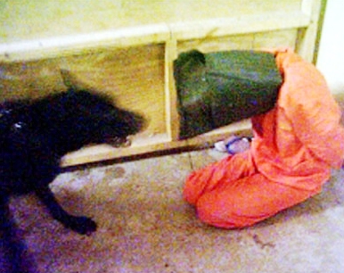 صورة بشعة من سجن ابو غريب